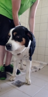 thumb_IMG-20190715-WA0004 thumb_IMG-20190715-WA0004