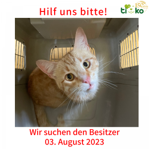 MiMi_K27604 MiMi_K27604