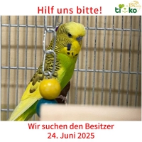 thumb_511279834_1095323359185684_4955350562969772750_n thumb_511279834_1095323359185684_4955350562969772750_n