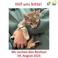 thumb_527624608_1124663066251713_7720216197943445667_n thumb_527624608_1124663066251713_7720216197943445667_n