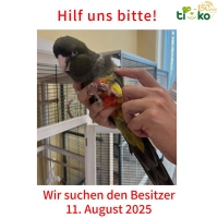 thumb_530271598_1130196285698391_8629279266439642637_n thumb_530271598_1130196285698391_8629279266439642637_n