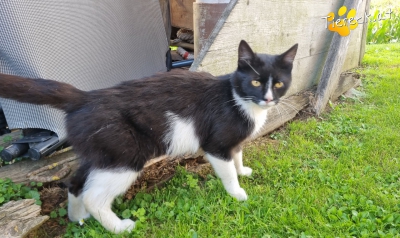 3994-1756543386-07005500 3994-1756543386-07005500