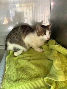 542469760_32037367722528768_1356461909363882190_n 542469760_32037367722528768_1356461909363882190_n