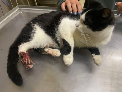 528317422_31609974628601415_7144593676549969011_n 528317422_31609974628601415_7144593676549969011_n