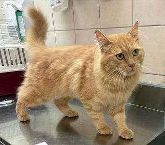 542264500_32096985946566945_1030319692542100083_n 542264500_32096985946566945_1030319692542100083_n