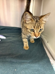 542216308_32079749554957251_4375238549726358270_n 542216308_32079749554957251_4375238549726358270_n