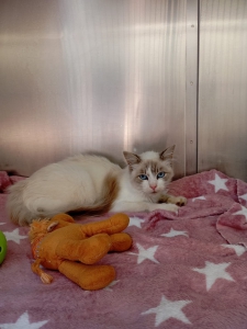 542761526_32084237707841769_8028734936953645485_n 542761526_32084237707841769_8028734936953645485_n