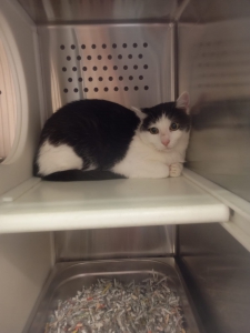 542750557_32084238077841732_4777109992844758456_n 542750557_32084238077841732_4777109992844758456_n