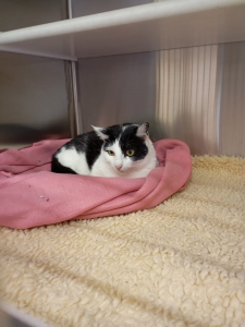 542096787_32084238127841727_2726195427782869239_n 542096787_32084238127841727_2726195427782869239_n