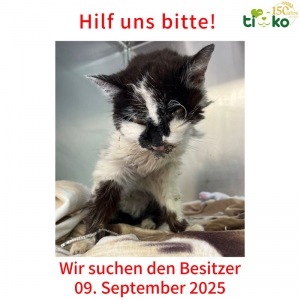 545732356_1152631350121551_8339166683692545099_n 545732356_1152631350121551_8339166683692545099_n