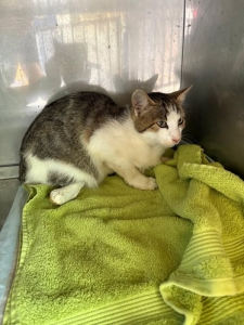 515492514_32205823725683166_5717379666168657990_n 515492514_32205823725683166_5717379666168657990_n