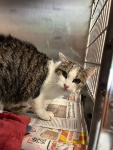 555451718_32404422692489934_4634891076950654925_n 555451718_32404422692489934_4634891076950654925_n