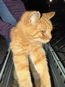 557391546_24778861388392690_8528202042301602627_n 557391546_24778861388392690_8528202042301602627_n