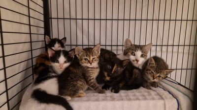 556216683_24799211236376041_4523790378186851029_n 556216683_24799211236376041_4523790378186851029_n