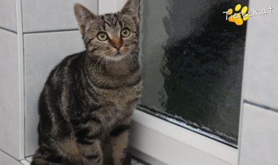 4019-1759678248-00568300 4019-1759678248-00568300