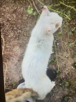 thumb_559676720_32620660740866127_5863129476500793899_n