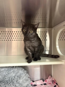 558043383_32638722875726580_7063004050451036921_n 558043383_32638722875726580_7063004050451036921_n