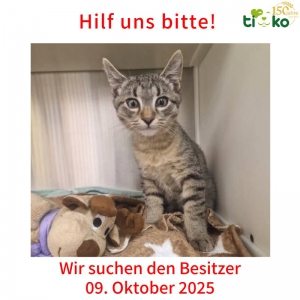 561054142_1177580520959967_632794245513863770_n 561054142_1177580520959967_632794245513863770_n