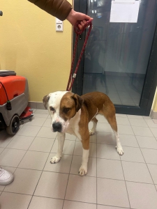 562405056_32741421548790045_1078579418723597549_n