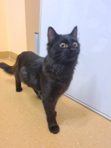 560615949_32741421845456682_7424839995854721833_n 560615949_32741421845456682_7424839995854721833_n