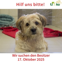 thumb_565359231_1184839766900709_6538936095533511744_n thumb_565359231_1184839766900709_6538936095533511744_n