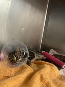 569024845_32885772344354964_7762370221408935934_n