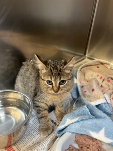 568742902_32885771567688375_1797840289845177825_n