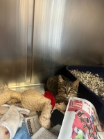 thumb_568448911_32885771501021715_7576873735518492052_n thumb_568448911_32885771501021715_7576873735518492052_n