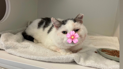 Fundkater_02.11.2025