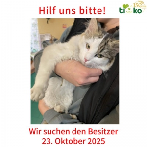 570337830_1189636203087732_8778112151198695096_n 570337830_1189636203087732_8778112151198695096_n