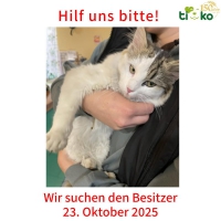 thumb_570337830_1189636203087732_8778112151198695096_n thumb_570337830_1189636203087732_8778112151198695096_n