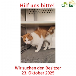 571377335_1189641626420523_7675378787646199241_n 571377335_1189641626420523_7675378787646199241_n