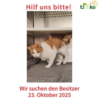 thumb_571377335_1189641626420523_7675378787646199241_n thumb_571377335_1189641626420523_7675378787646199241_n