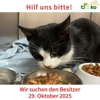 thumb_574024607_1194706872580665_4855781337532205178_n thumb_574024607_1194706872580665_4855781337532205178_n