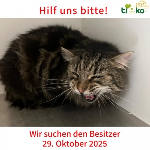 574434470_1194737495910936_7364168276022757831_n 574434470_1194737495910936_7364168276022757831_n