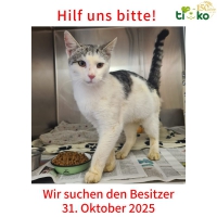 thumb_574056549_1196172305767455_7572848144565403667_n thumb_574056549_1196172305767455_7572848144565403667_n