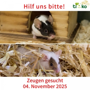 576511013_1199755035409182_4230059781367819761_n