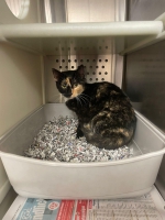 thumb_576486930_33174707875461408_3313401929516383083_n thumb_576486930_33174707875461408_3313401929516383083_n