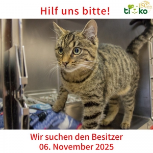 577370875_1201256568592362_1346888410704529345_n