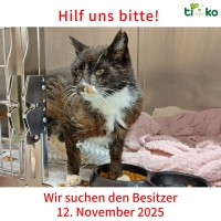 thumb_582430036_1206252151426137_3255721829413907218_n thumb_582430036_1206252151426137_3255721829413907218_n