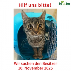 581132622_1204556778262341_2503401713353245121_n