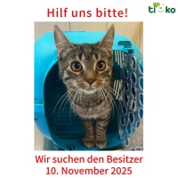 thumb_581132622_1204556778262341_2503401713353245121_n thumb_581132622_1204556778262341_2503401713353245121_n