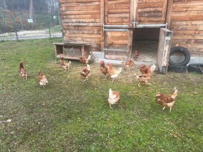 581800172_33302205156045012_1777136108005239625_n 581800172_33302205156045012_1777136108005239625_n