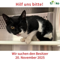 thumb_583081115_1212251340826218_3782944173038102475_n thumb_583081115_1212251340826218_3782944173038102475_n