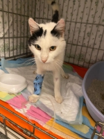 thumb_IMG-20251126-WA0002