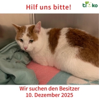 thumb_594162880_1226786152706070_1529263646732218702_n