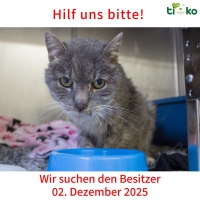 thumb_590905258_1221067659944586_6660073006860607429_n