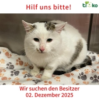 thumb_592395776_1221034999947852_3496648428590694151_n