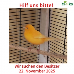 586722096_1213850050666347_2782195942927420352_n