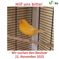 thumb_586722096_1213850050666347_2782195942927420352_n thumb_586722096_1213850050666347_2782195942927420352_n